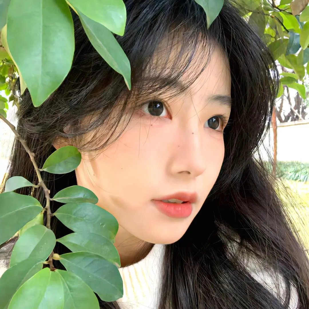 至善至美