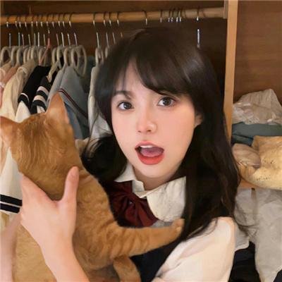 寒椿